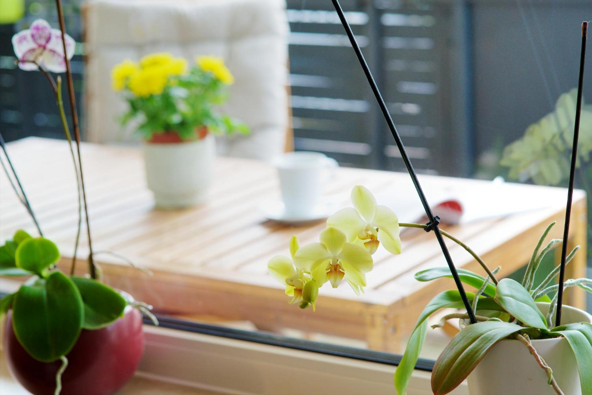 Fewo Moseleule Mesenich Ngoại thất bức ảnh